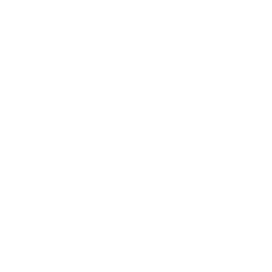 logo footer